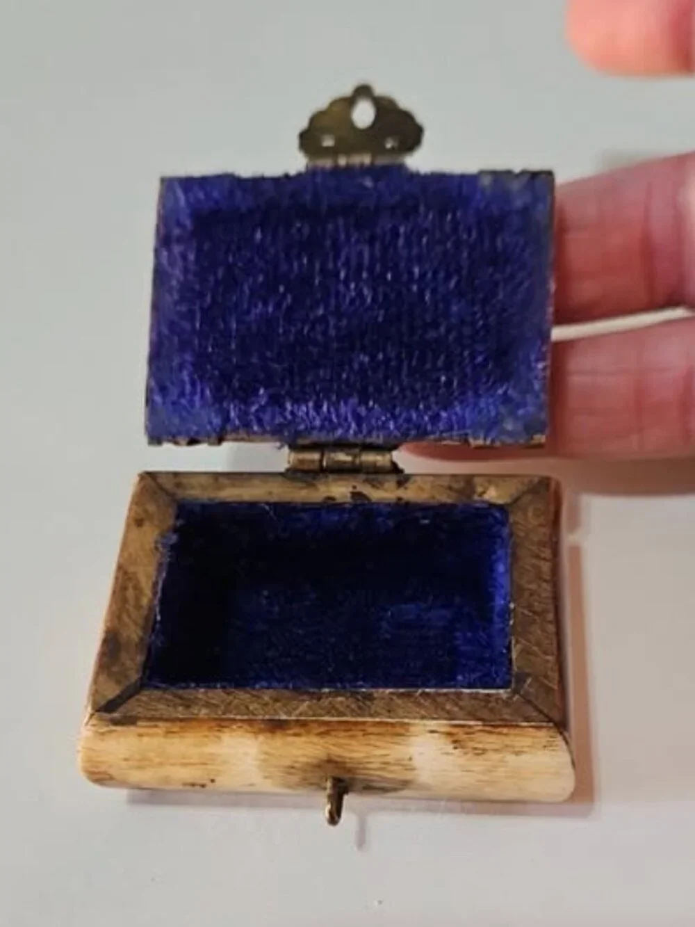 Camel Bone Jewelry Box with Brass Owl Shaped Hardware Vintage 1997s Handmade